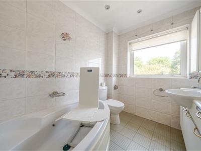 Picture 8